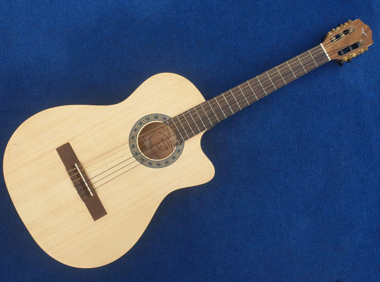 Guitar Classic Việt Cầm VC C250K